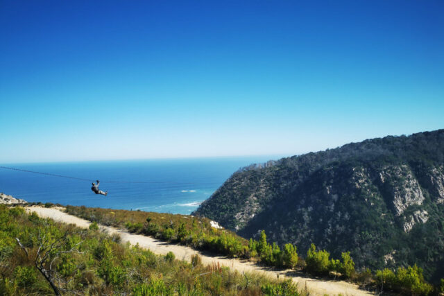 Activities in Knysna