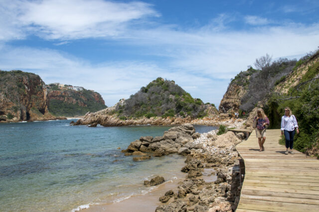 Activities in Knysna