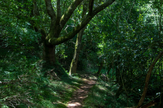 Knysna & Surrounds