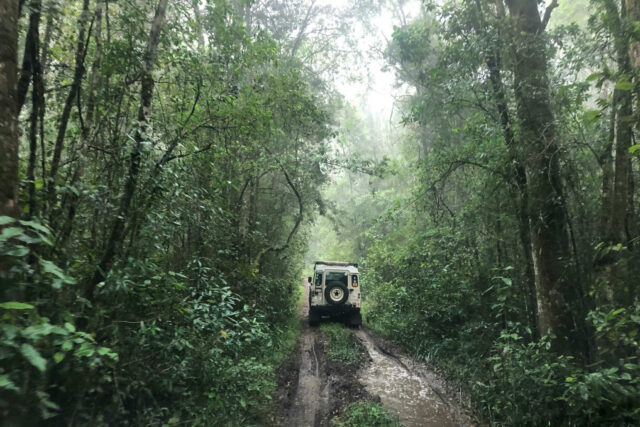 Knysna & Surrounds