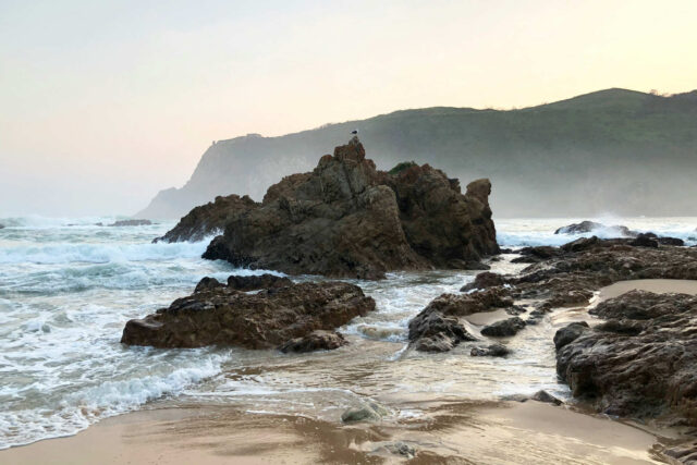 Knysna & Surrounds