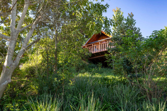 Abalone Lodges Swimming Pool & Gardens